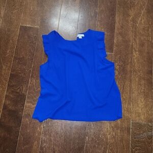 Bright Blue Blouse